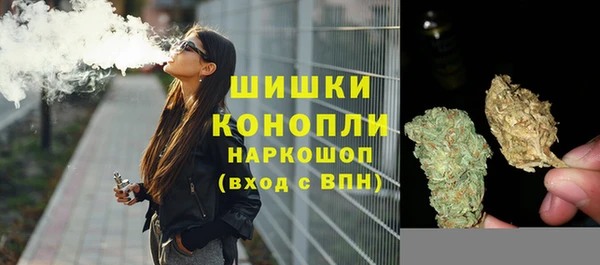 a pvp Гусев