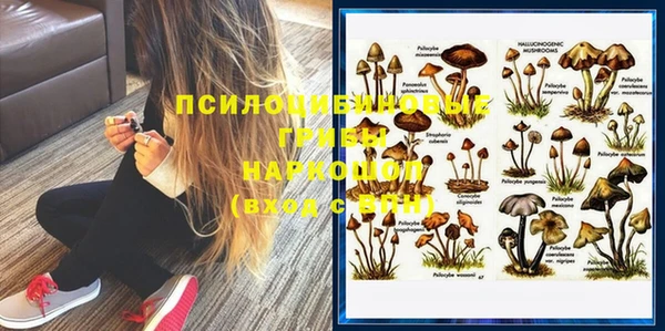 гидра Гусиноозёрск