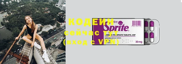 гидра Гусиноозёрск