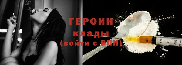 гидра Гусиноозёрск