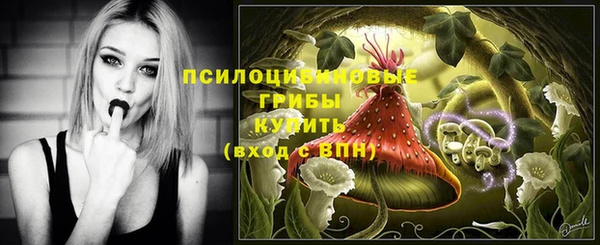 хмурый Фурманов