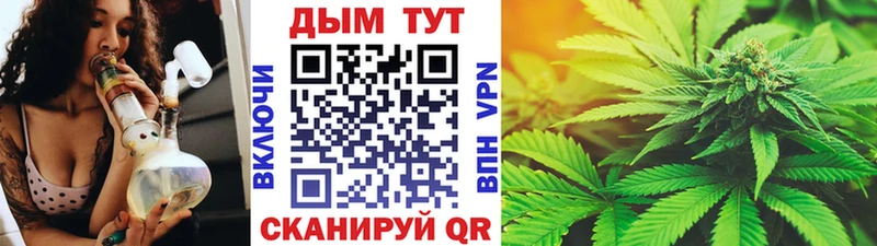 Каннабис OG Kush  Пионерский 